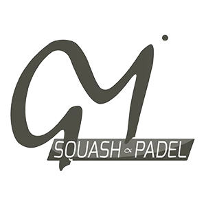 Logo GM